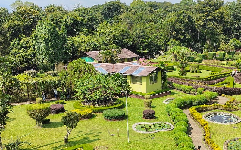 Nilambur Teak Museum