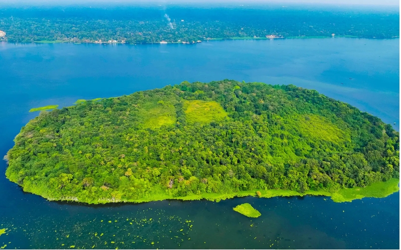 A breathtaking view of Pathiramanal Island, a lush green paradise in the middle of Vembanad Lake, surrounded by serene waters and rich birdlife.