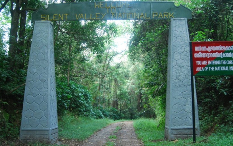 A pristine view of Silent Valley National Park, showcasing dense tropical rainforests, rich wildlife, and lush green landscapes.